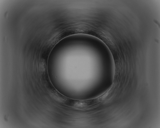 X0000093100174200709261238