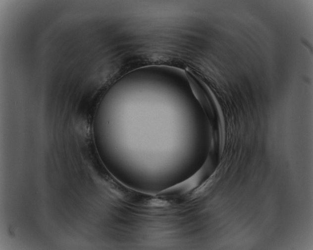 X0000093100176200709261238