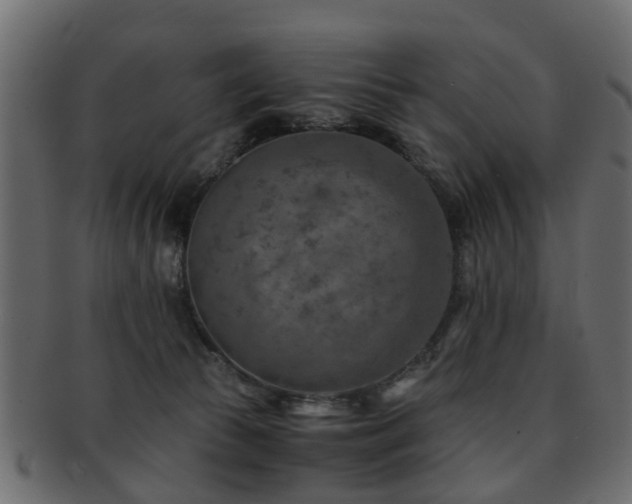 X0000093100177200709261238