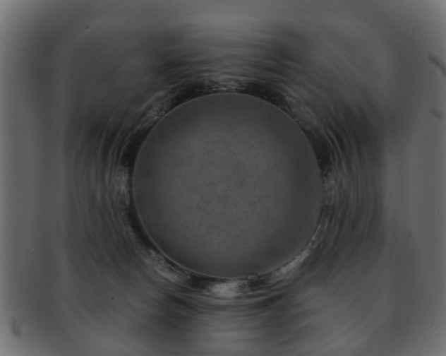 X0000093100178200709261238