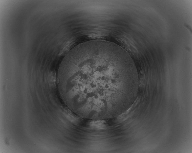 X0000093100179200709261238