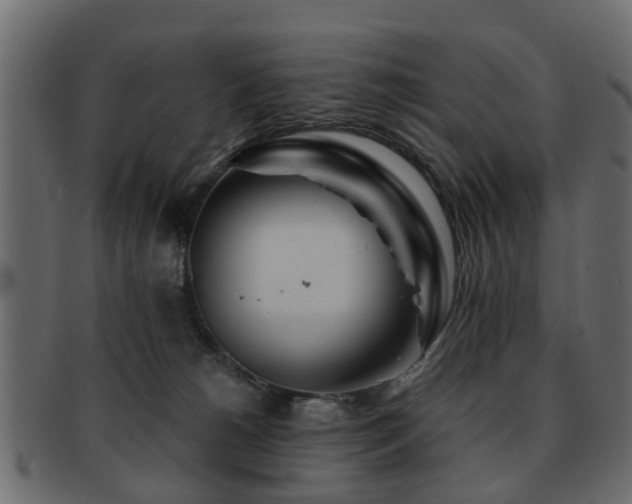 X0000093100180200709261238