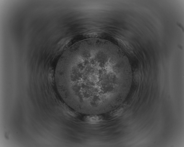 X0000093100181200709261238