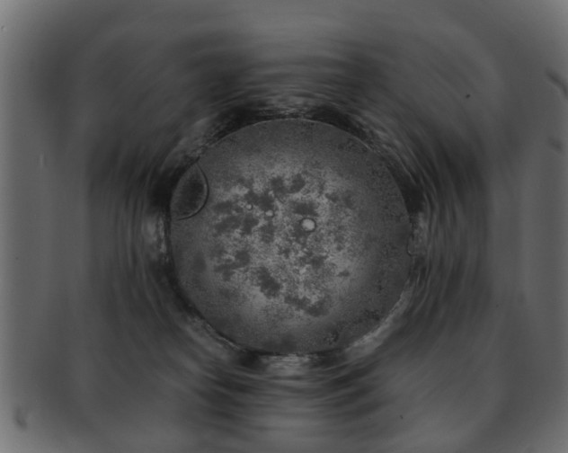 X0000093100182200709261238