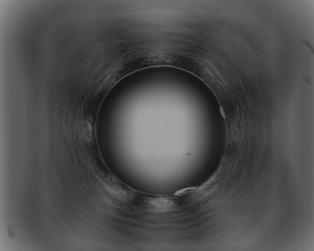 X0000093100183200709261238