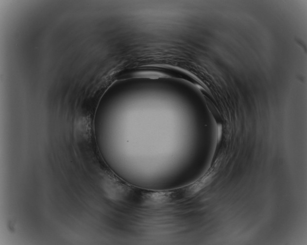 X0000093100184200709261238