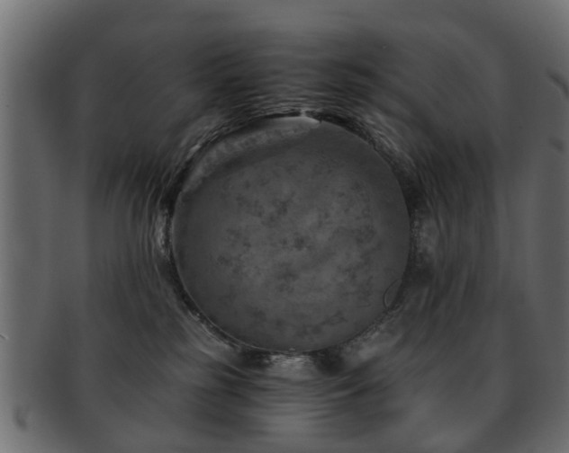 X0000093100185200709261238