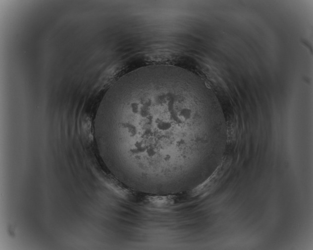 X0000093100187200709261238