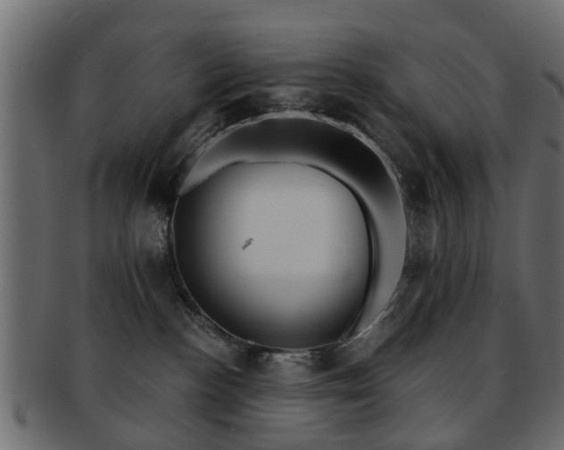 X0000093100188200709261238