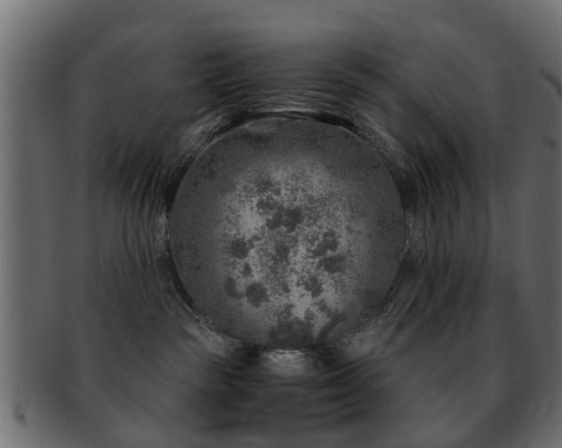 X0000093100189200709261238