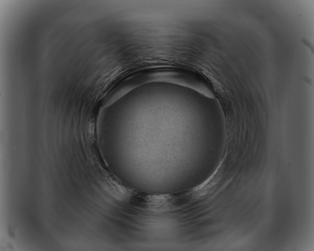 X0000093100192200709261238