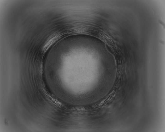 X0000093100194200709261237