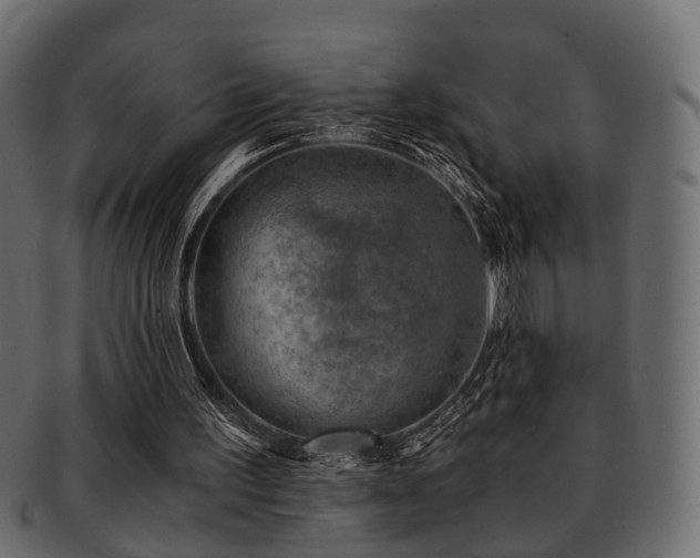 X0000093100195200709261237