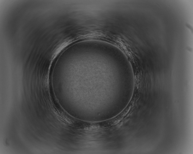 X0000093100196200709261237