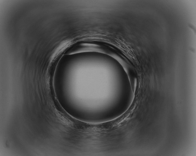 X0000093100197200709261237