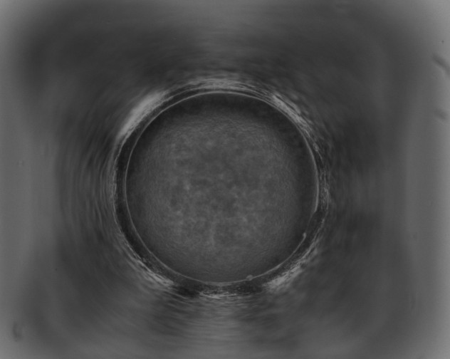 X0000093100199200709261237