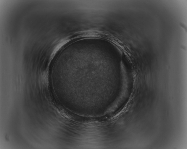 X0000093100200200709261237