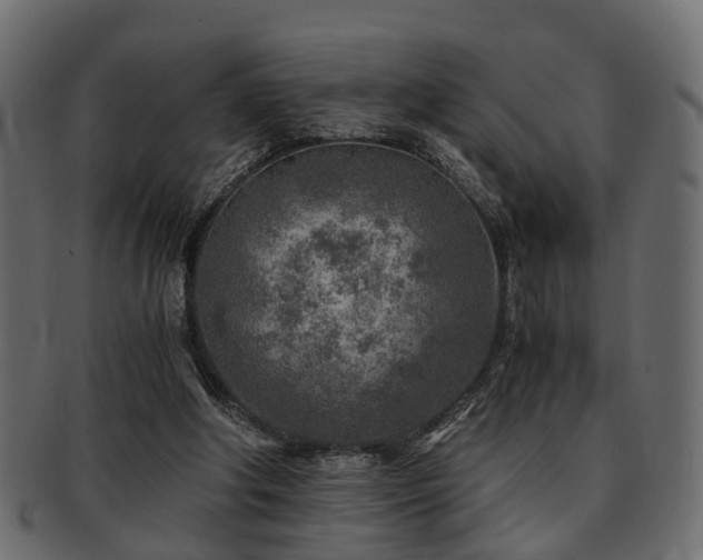 X0000093100202200709261237