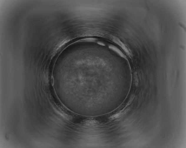 X0000093100203200709261237