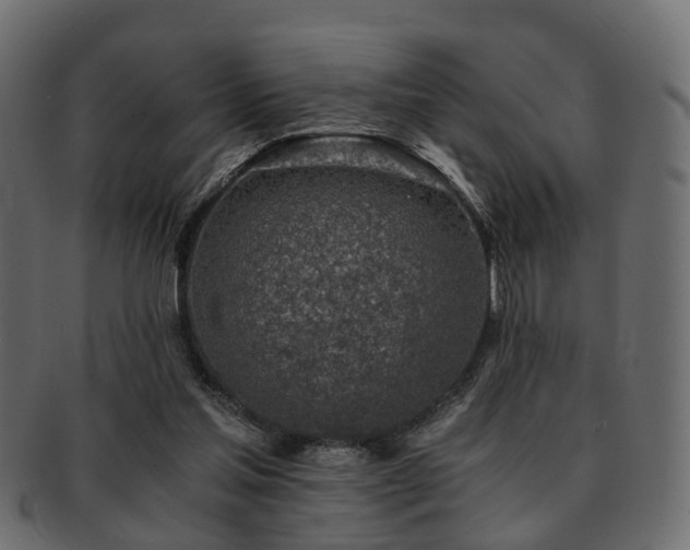 X0000093100205200709261237