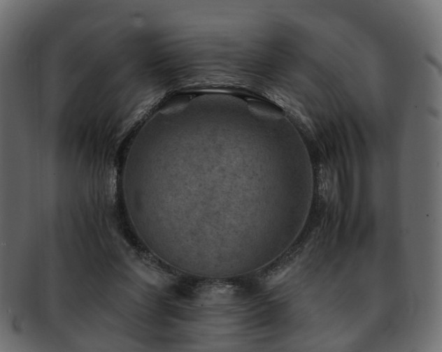 X0000093100206200709261237
