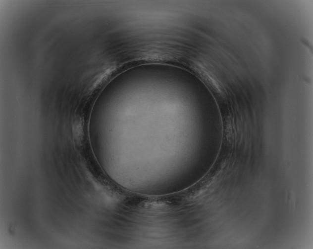 X0000093100208200709261237