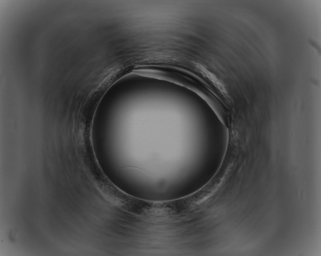 X0000093100209200709261237