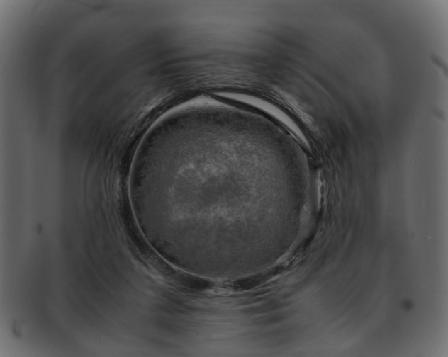 X0000093100211200709261237