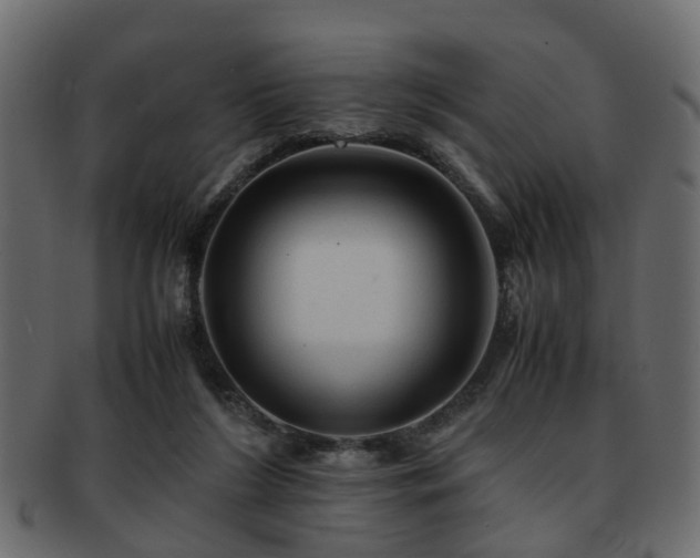 X0000093100212200709261237
