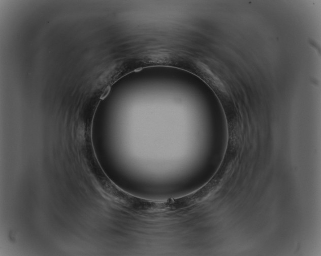 X0000093100213200709261237