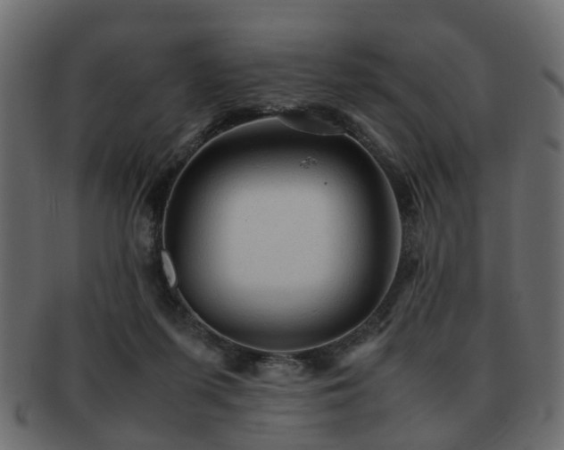 X0000093100215200709261237