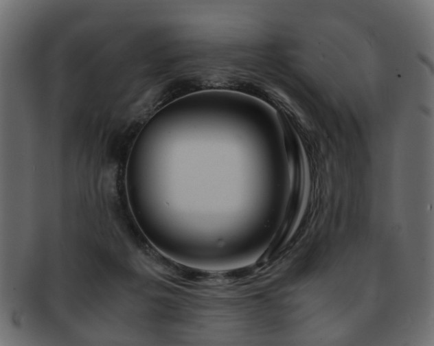 X0000093100217200709261237