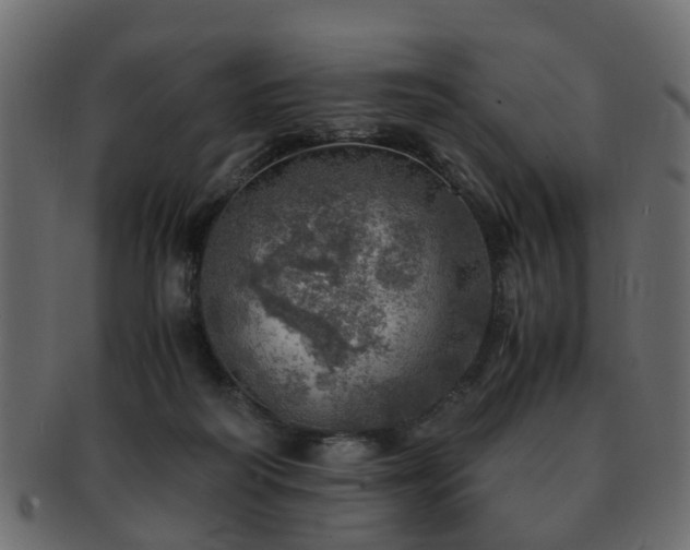 X0000093100218200709261237