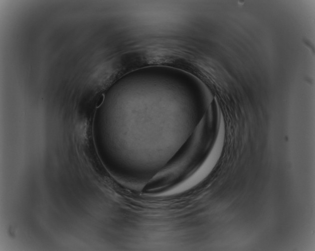 X0000093100219200709261237