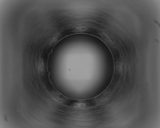 X0000093100220200709261237