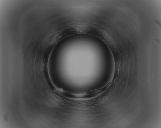 X0000093100221200709261237