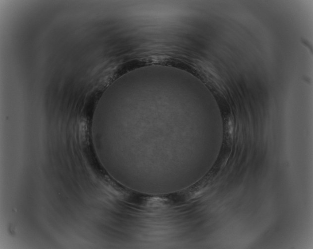 X0000093100222200709261237
