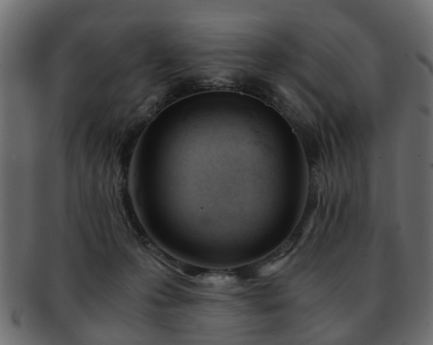 X0000093100223200709261237