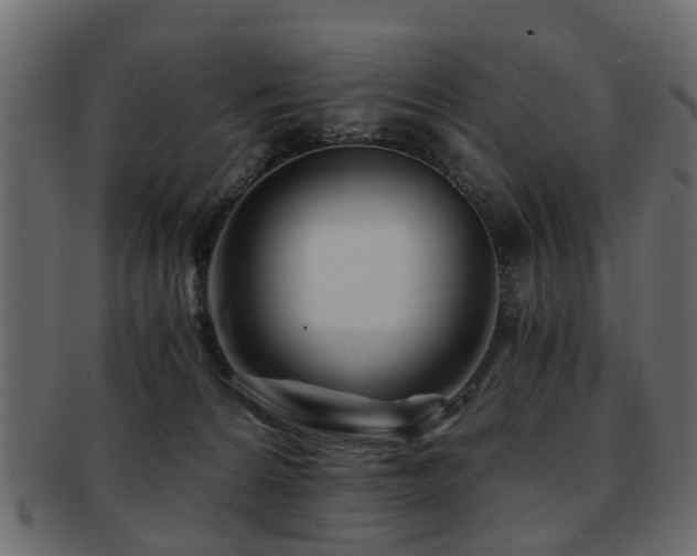 X0000093100224200709261237