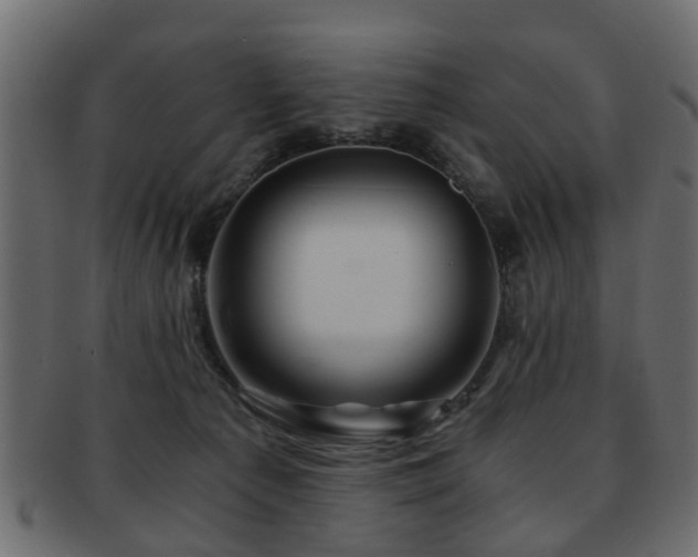 X0000093100225200709261237