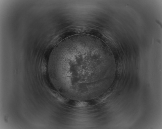 X0000093100226200709261237