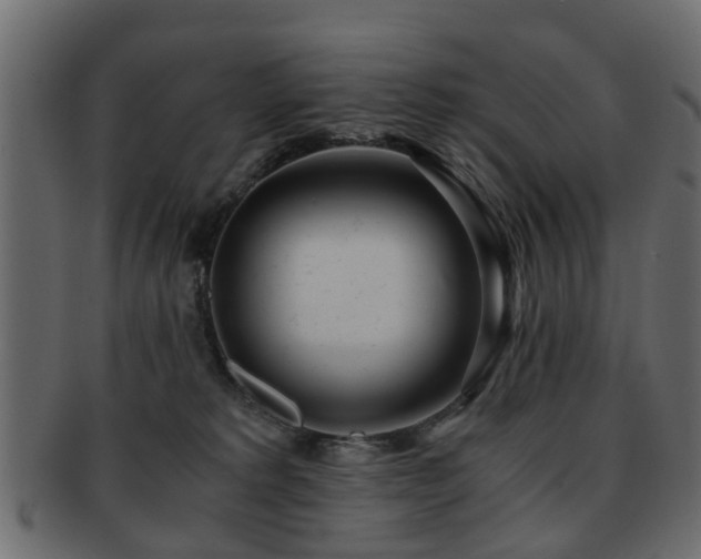 X0000093100229200709261237