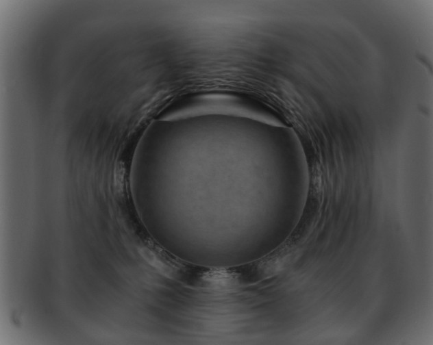 X0000093100231200709261237