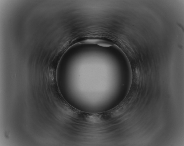 X0000093100232200709261237