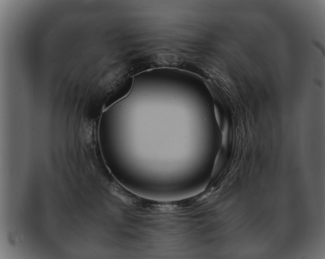 X0000093100233200709261237