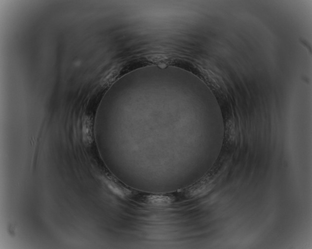 X0000093100234200709261237