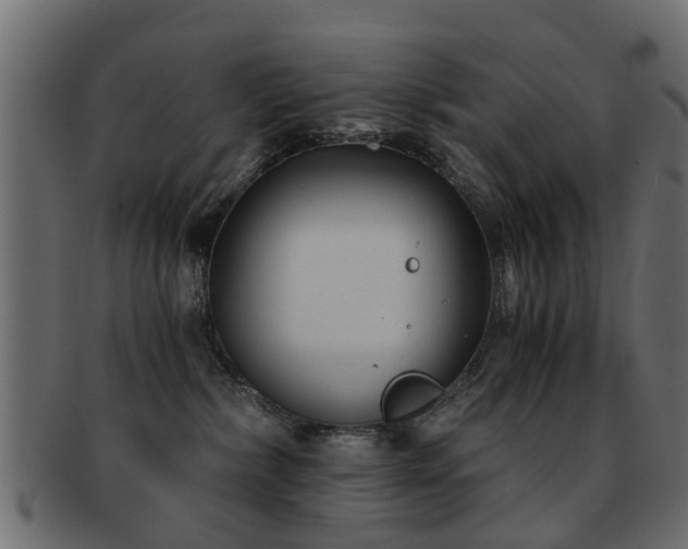 X0000093100236200709261237