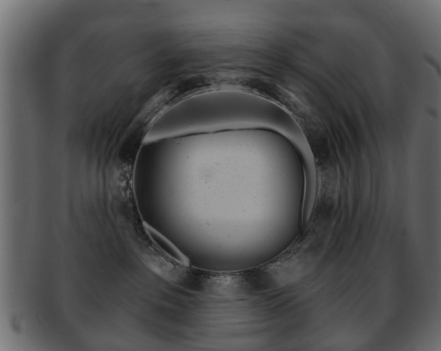 X0000093100237200709261237