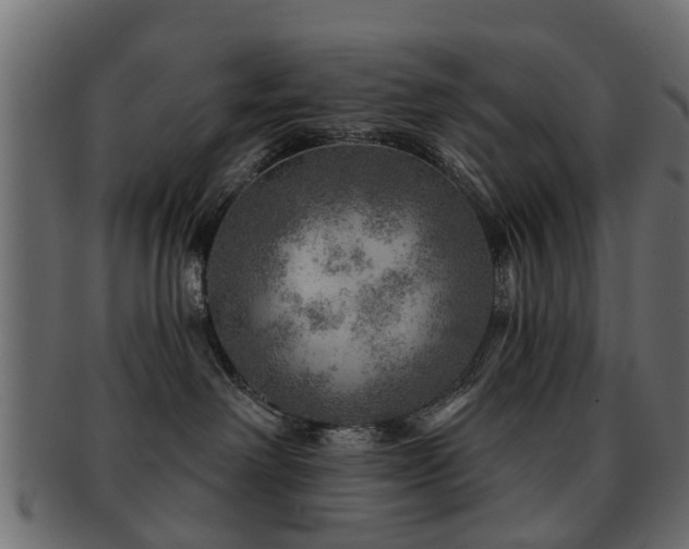 X0000093100238200709261237