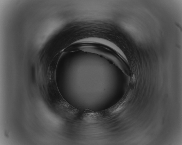 X0000093100239200709261237